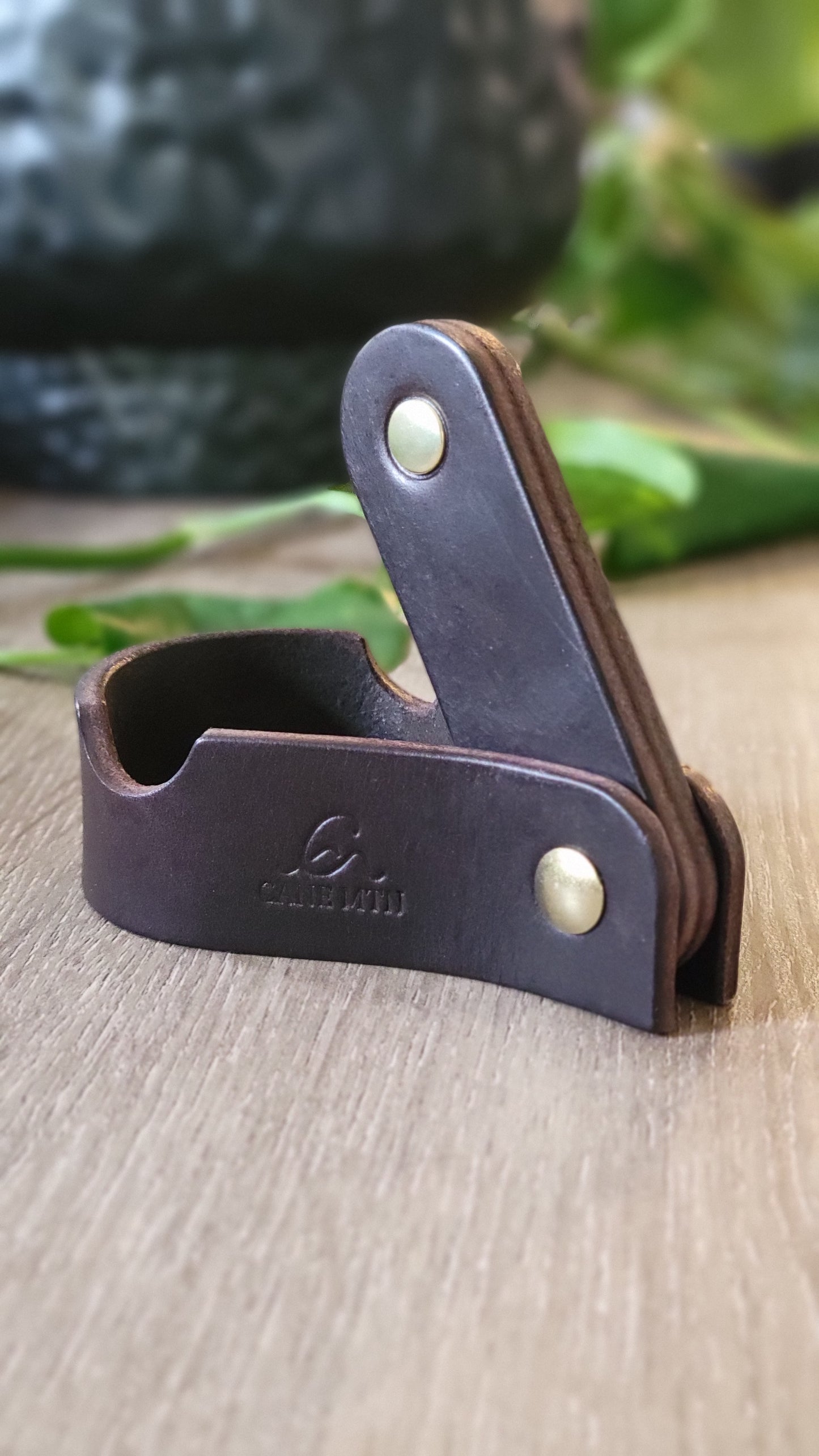 Clingmans Device Stand