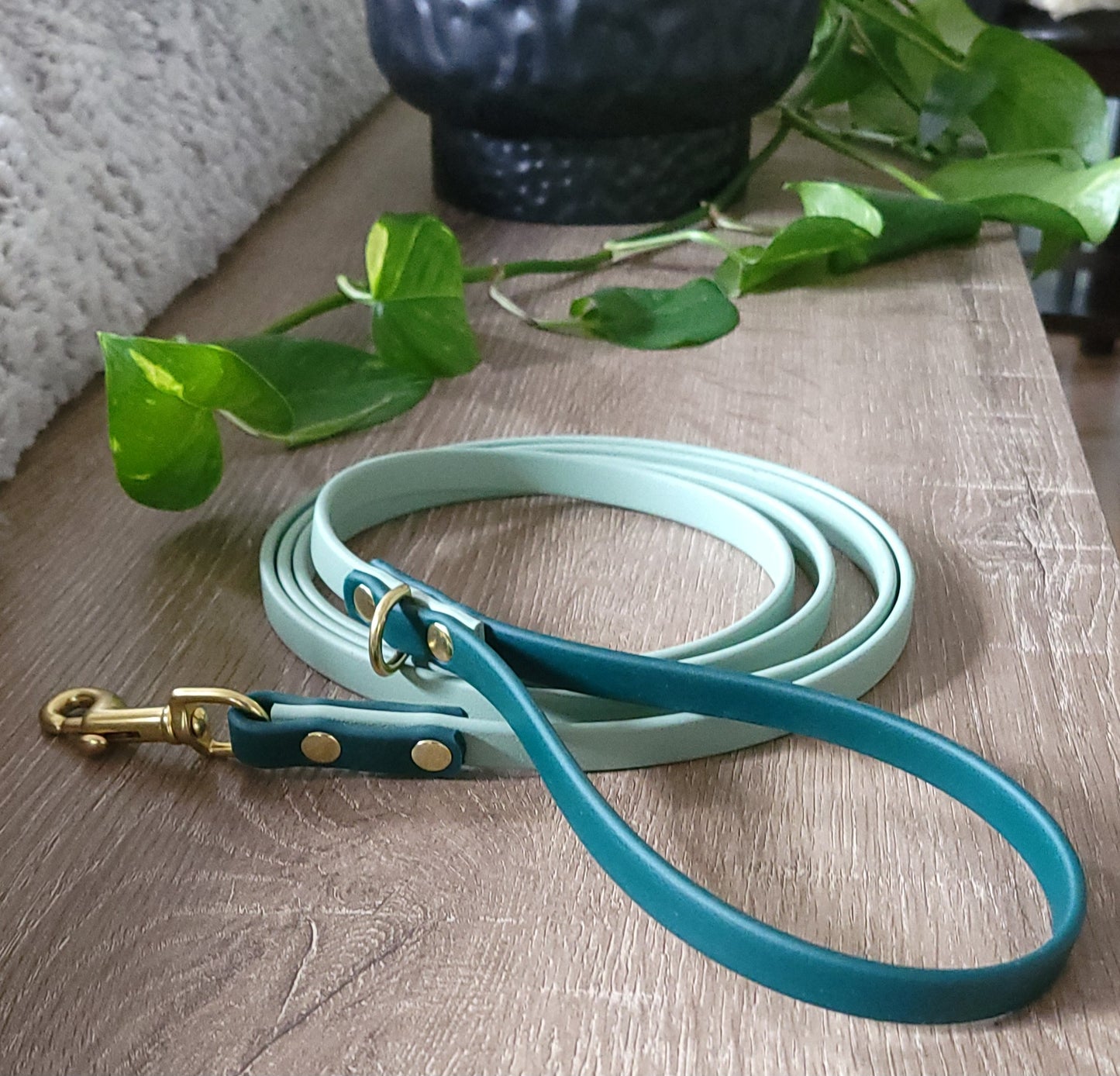 #001-Flynn Leash-Green/Sage