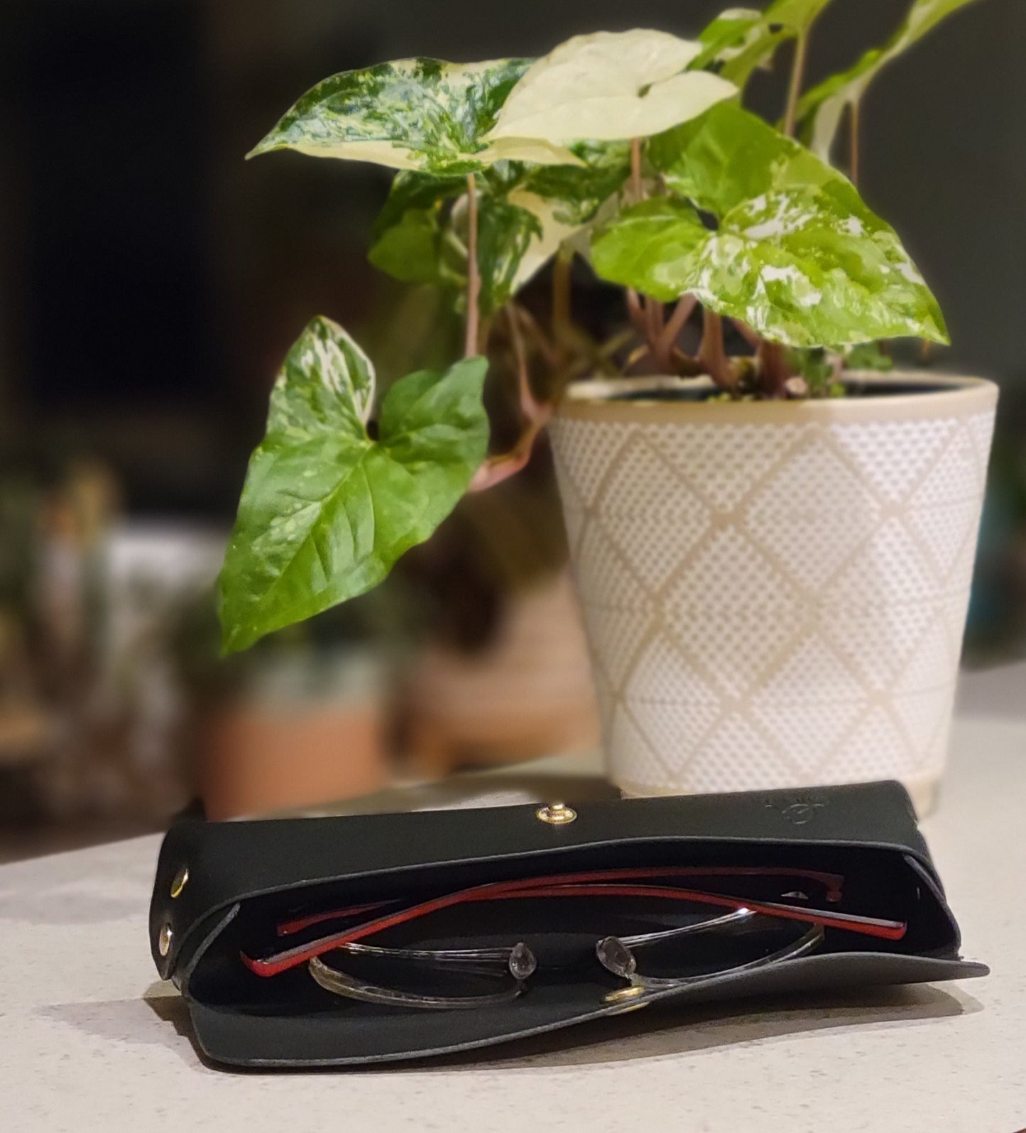 Bromley Pen/Glasses Case