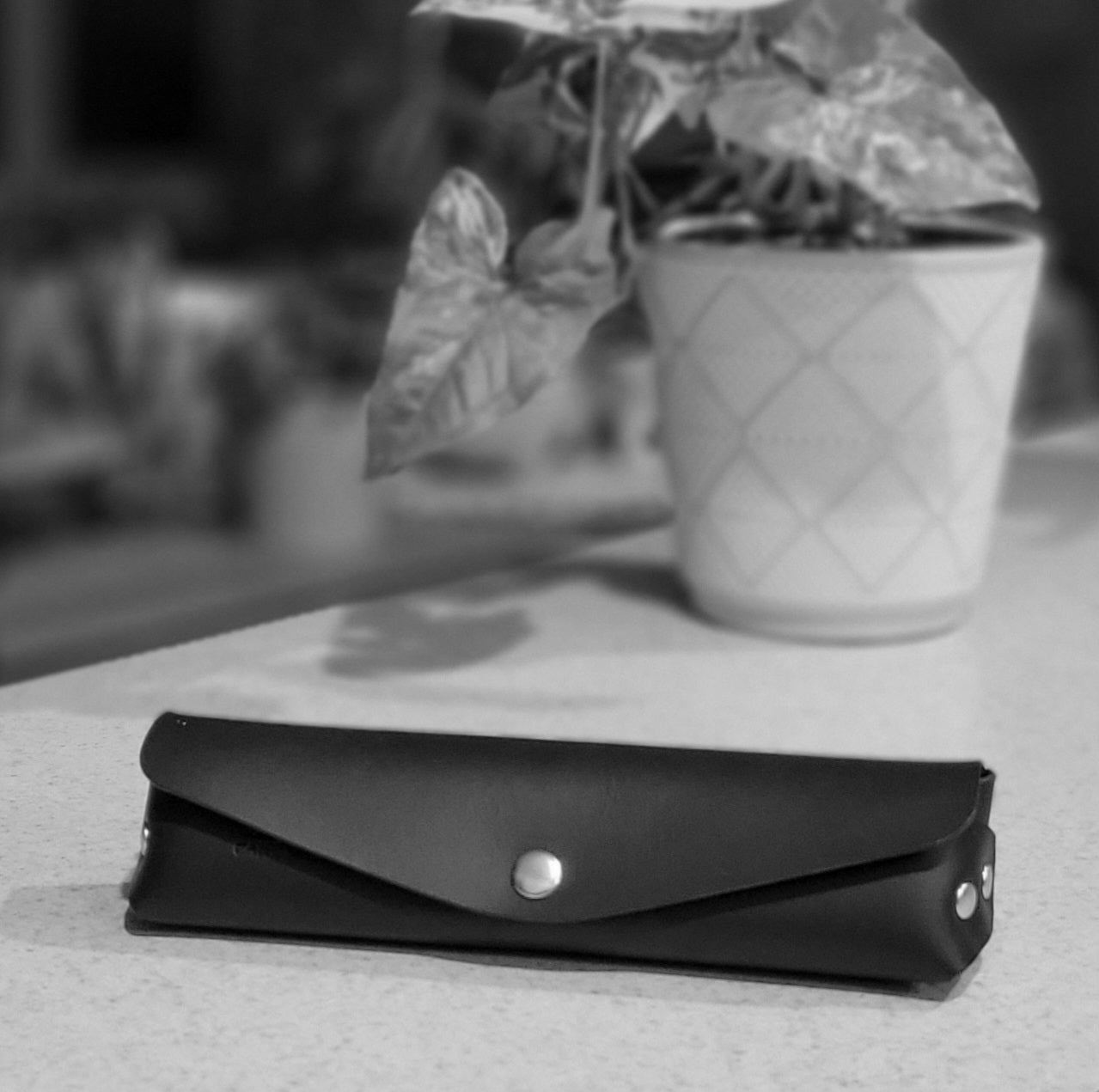 Bromley Pen/Glasses Case Template