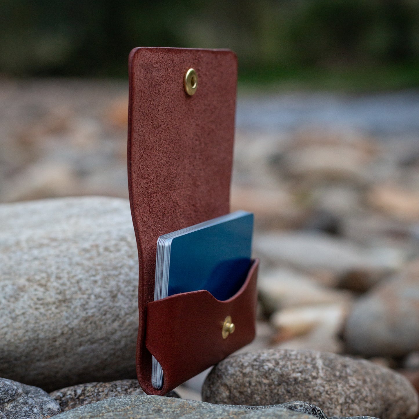 Hawksbill Card Wallet