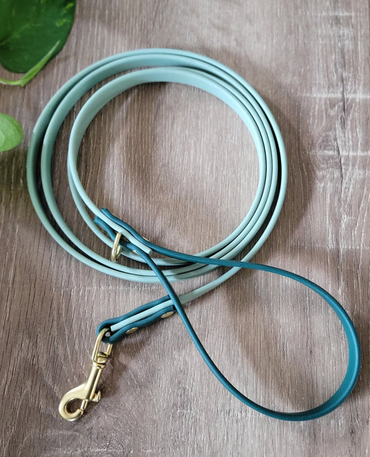 #001-Flynn Leash-Green/Sage