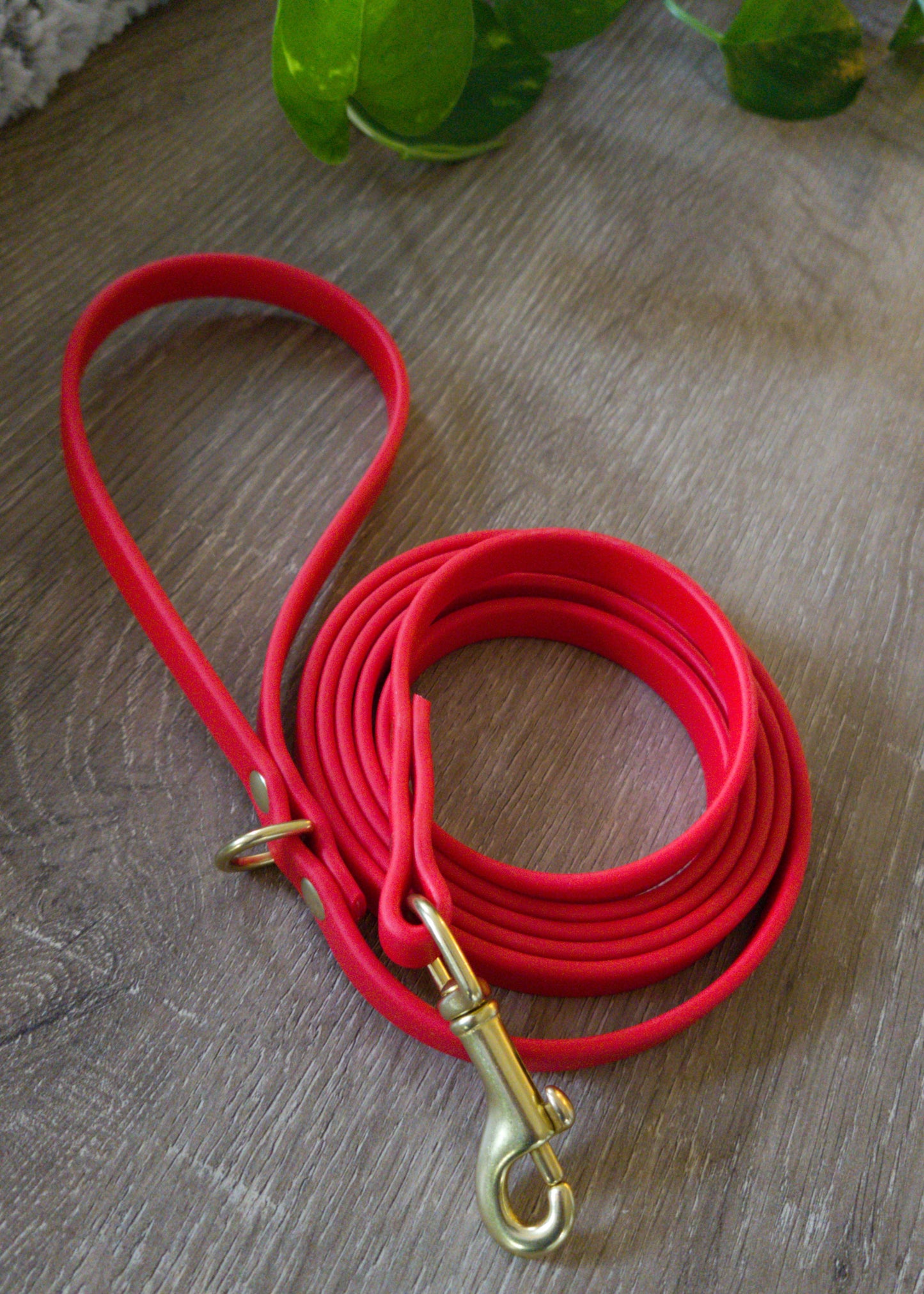 #002-Flynn Leash-Red