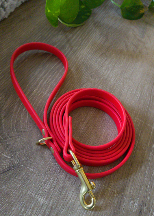 #002-Flynn Leash-Red