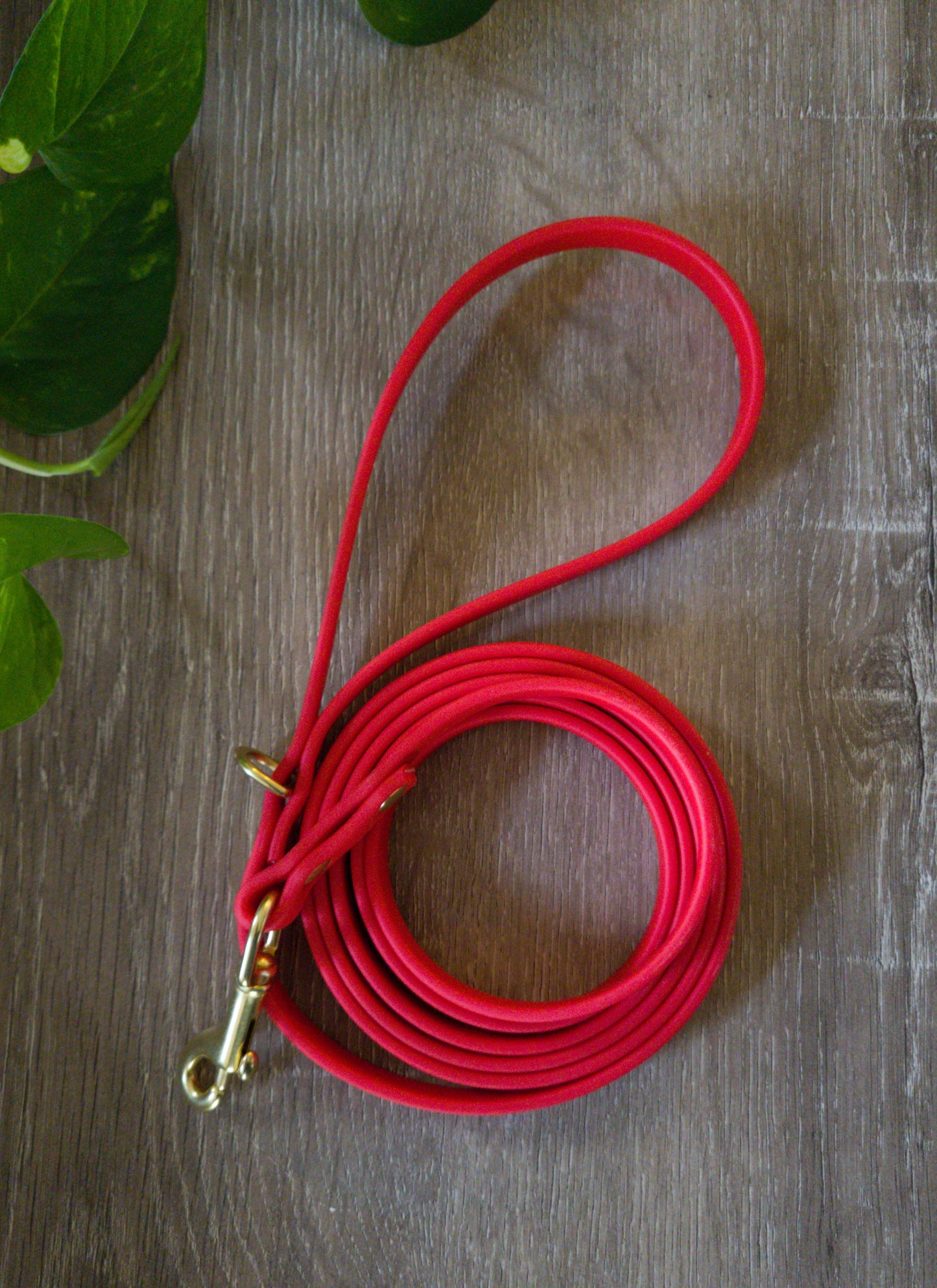 #002-Flynn Leash-Red